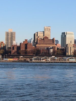cover image of New York Travel